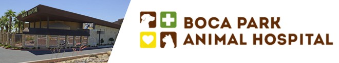 logotipo boca park clinica hospital veterinario